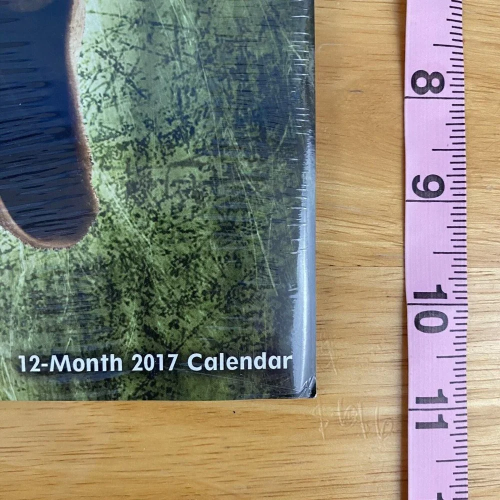 2017 Star Wars 12 Month Calendar Sealed Yoda